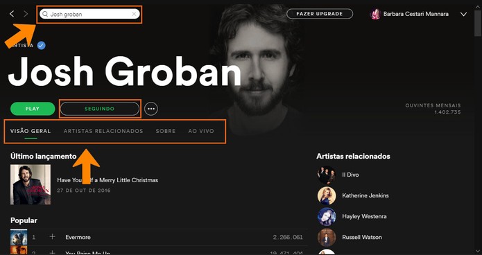 Siga o perfil do seu artista favorito no Spotify (Foto: Reprodução/Barbara Mannara)