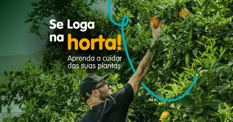 Se Loga na horta! Aprenda a cuidar das suas plantas