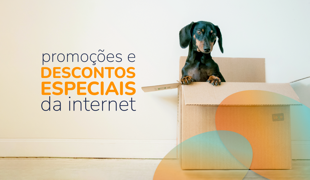 Ilustração de um cão dentro de uma caixa e a frase "promoções e descontos especiais da internet"